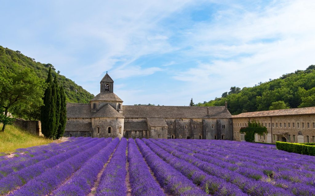 Lavender field with historic abbey in Provence, France