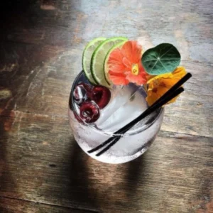 V2C gin tonic cocktail with lime grapefruit and botanicals refreshing gin drink