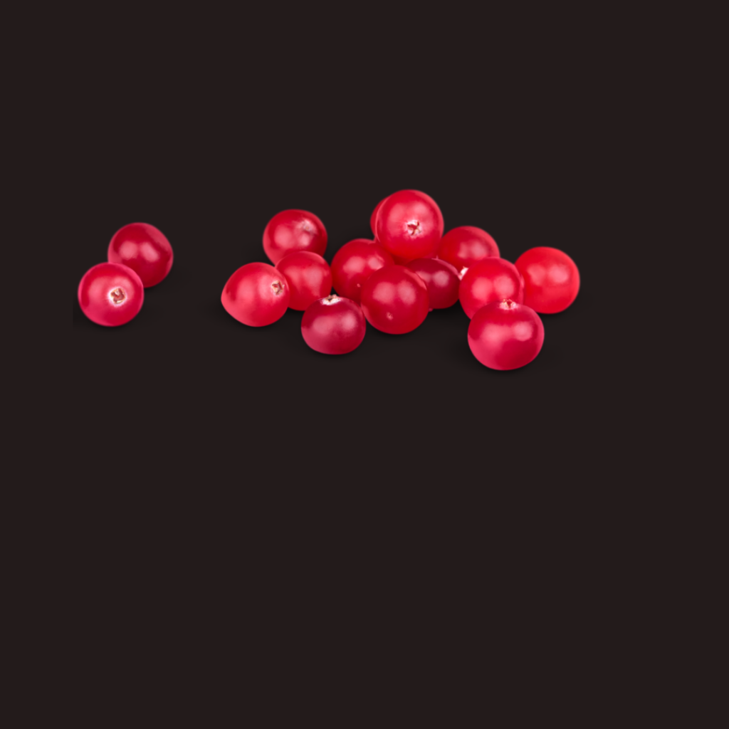 North America Cranberries