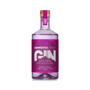 Bottle of Snowdonia Love Spoon Wild Fruit Gin