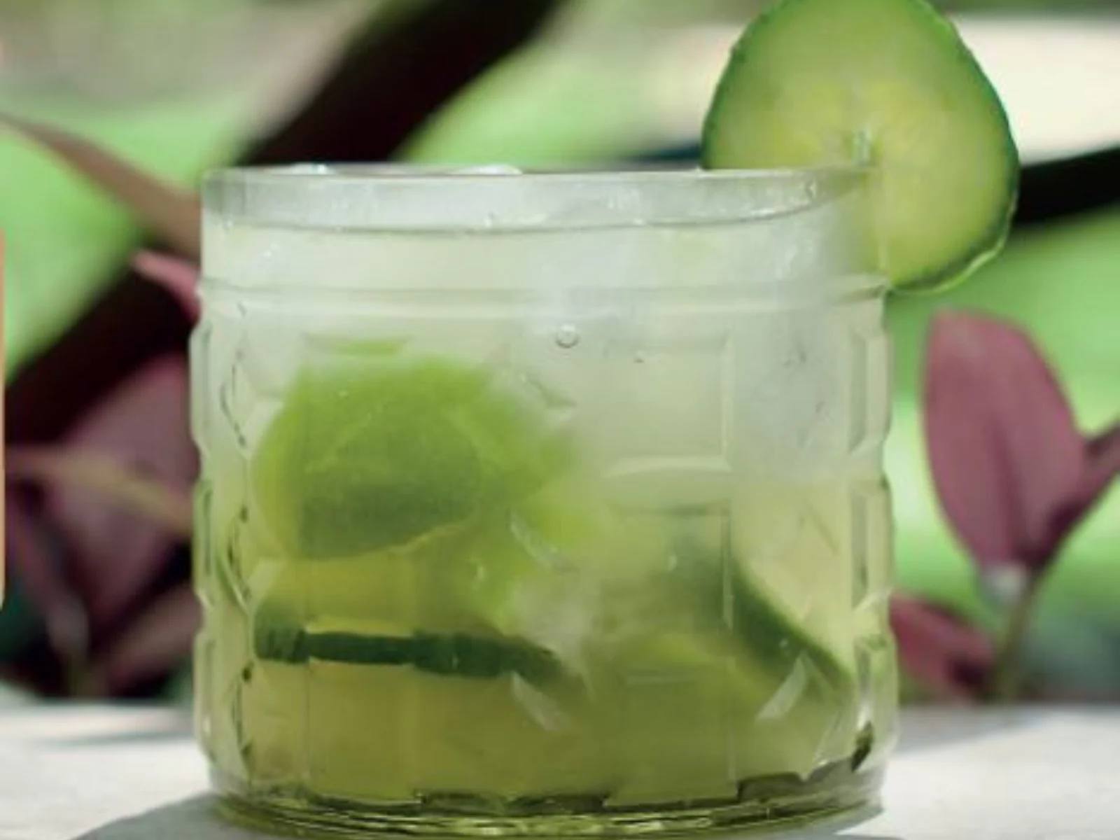 Baboon's cup, an Iced gin cocktail with lime and cucumber slices in a textured glass, garnished with cucumber, set against a tropical outdoor background.