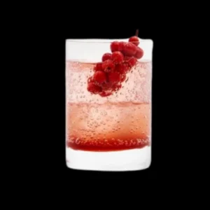 Omija Gin Fizz by Kori Gin 코리진 오미자 진 피즈 칵테일 — 오미자 베리 가니쉬와 함께한 프리미엄 코리안 허벌 크래프트 진 칵테일
