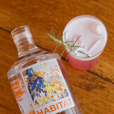 Pomegranate Fizz cocktail with Habitat Gin and rosemary garnish on wooden table