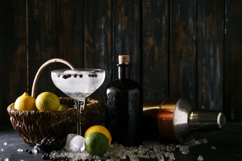 Craft gin with citrus and botanical ingredients representing global gin trends in 2025