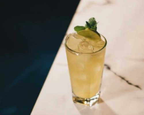 Tahu First Kiss gin cocktail served over ice with mint garnish