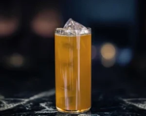 Tom Collins gin cocktail with lemon and soda served over ice in a Collins glass