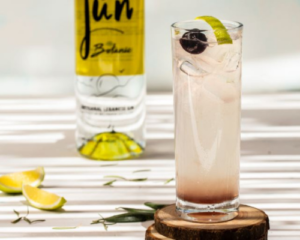 Jun Fizz gin cocktail served in a tall glass with lemon garnish
