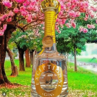 MoniGins Exceptional