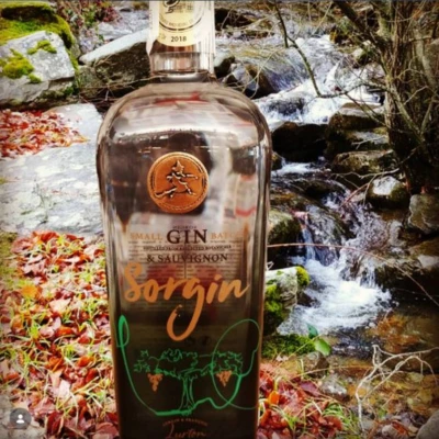 MoniGins Sorgin