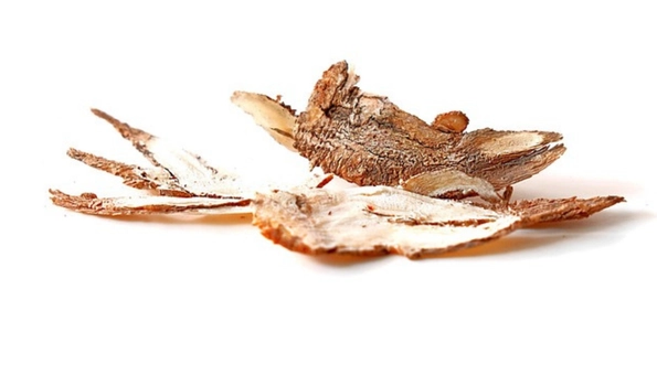 Angelica root used as a botanical in gin distillation
