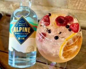 Alpine Elevated Gin Bramble cocktail with fresh raspberries, blueberries and orange slice in a balloon glass